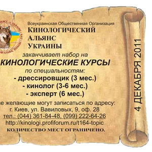 Курсы кинологов,  дрессировщиков,  экспертов.