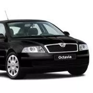 Лобовое стекло Skoda Octavia