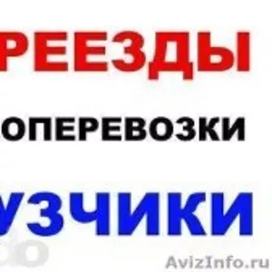 Грузоперевозки, услуги грузчиков, подбор машин.