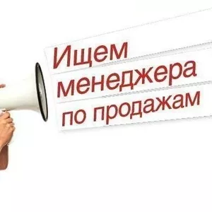 Менеджер по продажам в интернет магазин