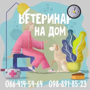 Ветеринар на дом в Харькове