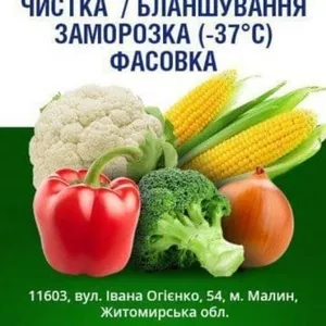 Фасовка и упаковка продуктов в пакеты сетки лотки