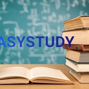 Замовити есе в EasyStudy