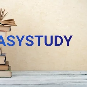 Замовити тези в EasyStudy