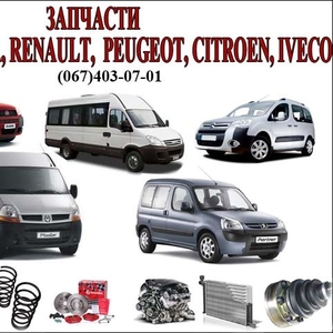 Запчасти для Fiat,  Citroen,  Peugeot,  Renault,  Iveco,  Dacia