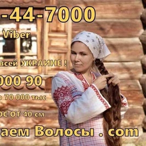 Хочете вигідно продати волосся у Полтаві? Звертайтеся.