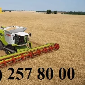 Аренда комбайнов Claas Lexion,  John-Deere и др.