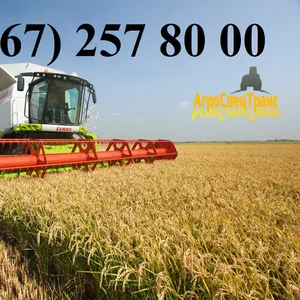  Claas Lexion,  John-Deere,  New Holland,  Case (АРЕНДА)